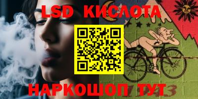 стаф Новозыбков