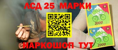 стаф Новозыбков