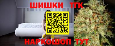 стаф Новозыбков