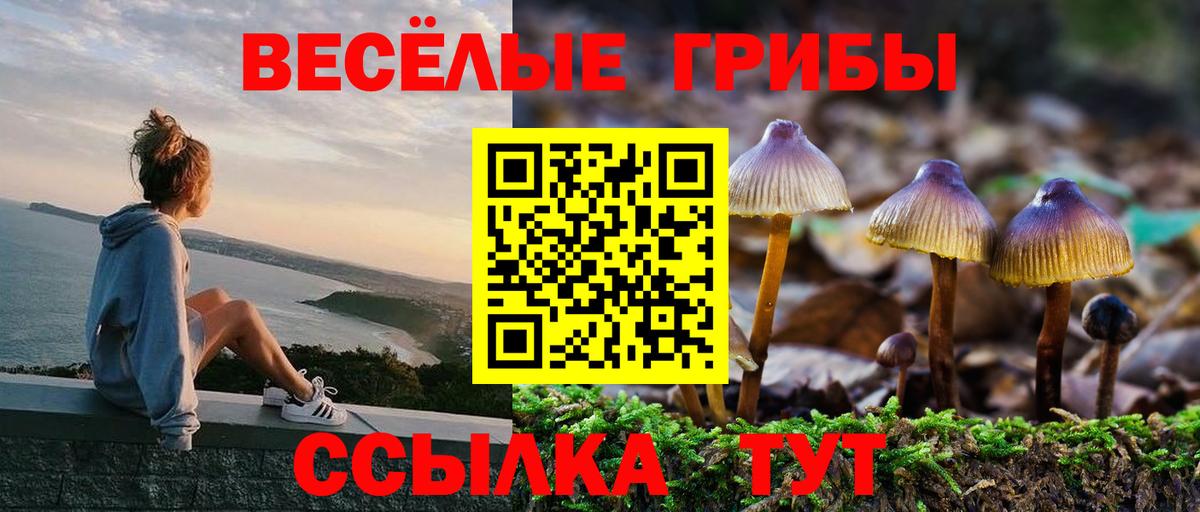 Галлюциногенные грибы мицелий  где можно купить   Саратов  Вход с VPN 