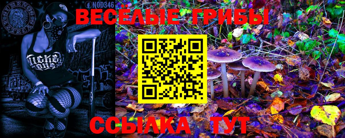 Псилоцибиновые грибы Magic Shrooms Саратов